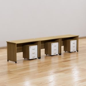 ban cum nhan vien fergus fgbcnv017 3