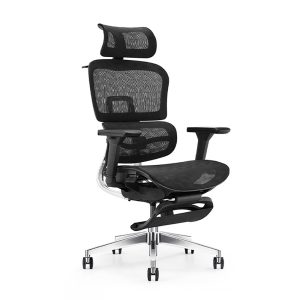 Ghế Xoay Công Thái Học Cao Cấp BKHOME FGEG02