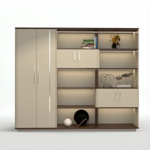 Tủ Giám Đốc Cao Cấp BKHOME FGTGD011