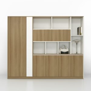 Tủ Giám Đốc Cao Cấp BKHOME FGTGD013