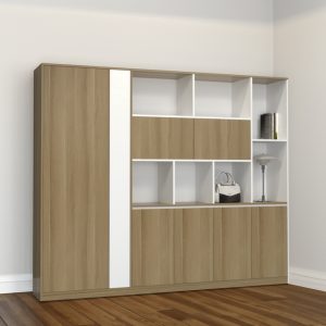 Tủ Giám Đốc Cao Cấp BKHOME FGTGD013