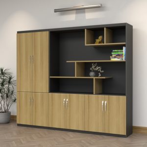 Tủ Giám Đốc Cao Cấp BKHOME FGTGD021