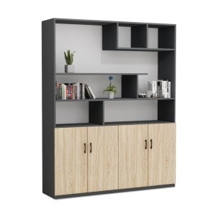 Tủ Giám Đốc Cao Cấp BKHOME FGTGD028