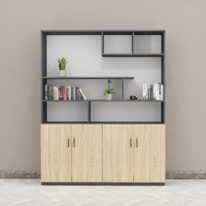 Tủ Giám Đốc Cao Cấp BKHOME FGTGD028