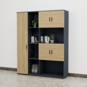 Tủ Giám Đốc Cao Cấp BKHOME FGTGD029