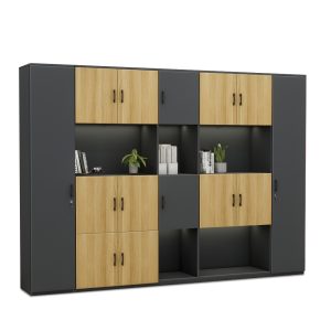 Tủ Giám Đốc Cao Cấp BKHOME FGTGD034