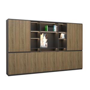 Tủ Giám Đốc Cao Cấp BKHOME FGTGD045