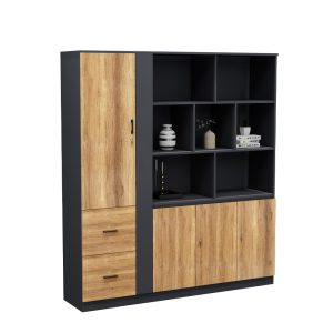 Tủ Giám Đốc Cao Cấp BKHOME FGTGD052