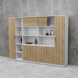 Tủ Giám Đốc Cao Cấp BKHOME FGTGD056