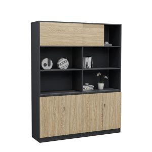Tủ Giám Đốc Cao Cấp BKHOME FGTGD060
