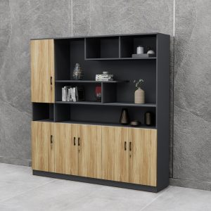 Tủ Giám Đốc Cao Cấp BKHOME FGTGD062
