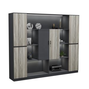 Tủ Giám Đốc Cao Cấp BKHOME FGTGD064