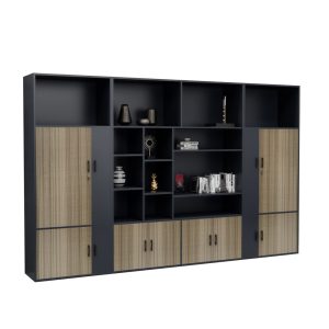 Tủ Giám Đốc Cao Cấp BKHOME FGTGD066