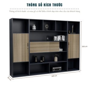 Tủ Giám Đốc Cao Cấp BKHOME FGTGD067