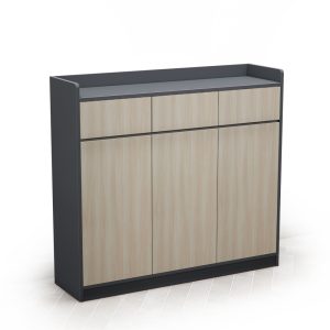 Tủ Giày Cao Cấp BKHOME FGTG010