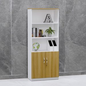 Tủ Hồ Sơ Cao Cấp BKHOME FGTHS04