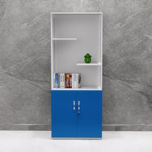 Tủ Hồ Sơ Cao Cấp BKHOME FGTHS05