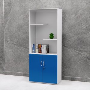 Tủ Hồ Sơ Cao Cấp BKHOME FGTHS05