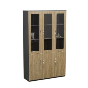 Tủ Hồ Sơ Cao Cấp BKHOME FGTHS07