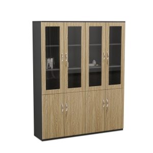 Tủ Hồ Sơ Cao Cấp BKHOME FGTHS09