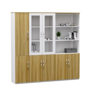 Tủ Hồ Sơ Cao Cấp BKHOME FGTHS10