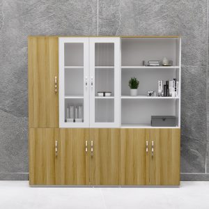 Tủ Hồ Sơ Cao Cấp BKHOME FGTHS10