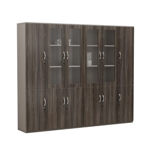 Tủ Hồ Sơ Cao Cấp BKHOME FGTHS11