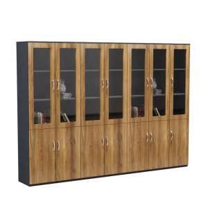 Tủ Hồ Sơ Cao Cấp BKHOME FGTHS12