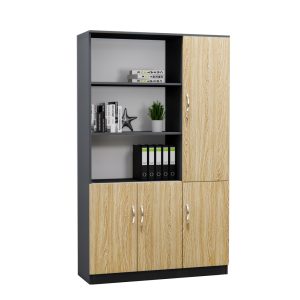 Tủ Hồ Sơ Cao Cấp BKHOME FGTHS15