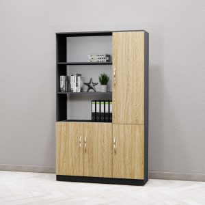 Tủ Hồ Sơ Cao Cấp BKHOME FGTHS15