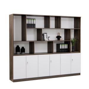 Tủ Hồ Sơ Cao Cấp BKHOME FGTHS18