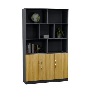 Tủ Hồ Sơ Cao Cấp BKHOME FGTHS19