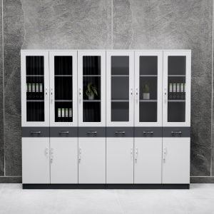 Tủ Hồ Sơ FGTHS30