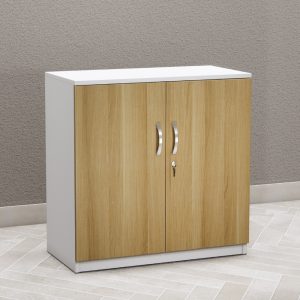 Tủ Hồ Sơ Thấp Cao Cấp BKHOME FGTHST01