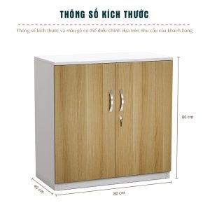 Tủ Hồ Sơ Thấp Cao Cấp BKHOME FGTHST01