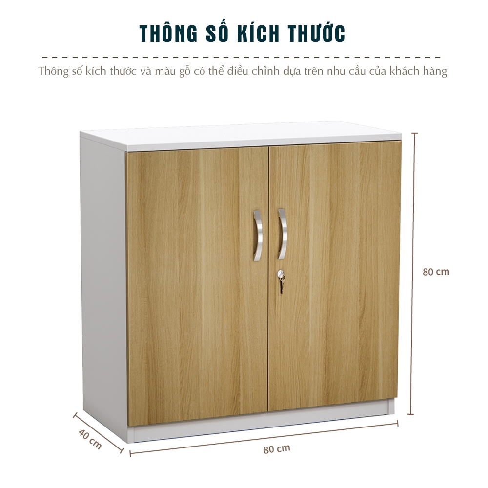 Tủ Hồ Sơ Thấp Cao Cấp BKHOME FGTHST01