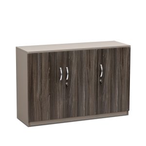 Tủ Hồ Sơ Thấp Cao Cấp BKHOME FGTHST02