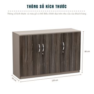 Tủ Hồ Sơ Thấp Cao Cấp BKHOME FGTHST02