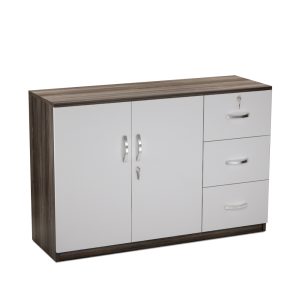 Tủ Hồ Sơ Thấp Cao Cấp BKHOME FGTHST04