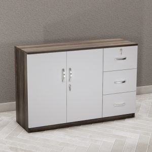 Tủ Hồ Sơ Thấp Cao Cấp BKHOME FGTHST04