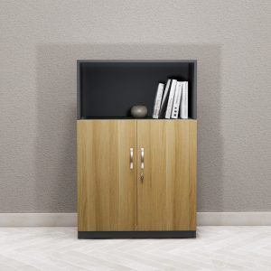 Tủ Hồ Sơ Thấp Cao Cấp BKHOME FGTHST06