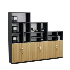 Tủ Hồ Sơ Thấp Cao Cấp BKHOME FGTHST08