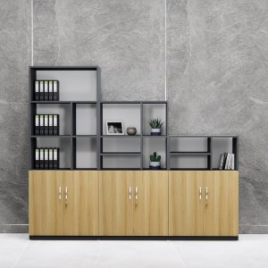 Tủ Hồ Sơ Thấp Cao Cấp BKHOME FGTHST08