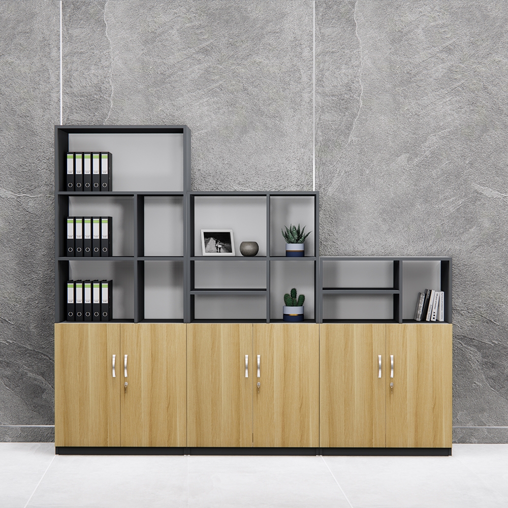 Tủ Hồ Sơ Thấp Cao Cấp BKHOME FGTHST08