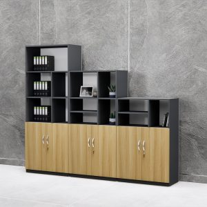 Tủ Hồ Sơ Thấp Cao Cấp BKHOME FGTHST08