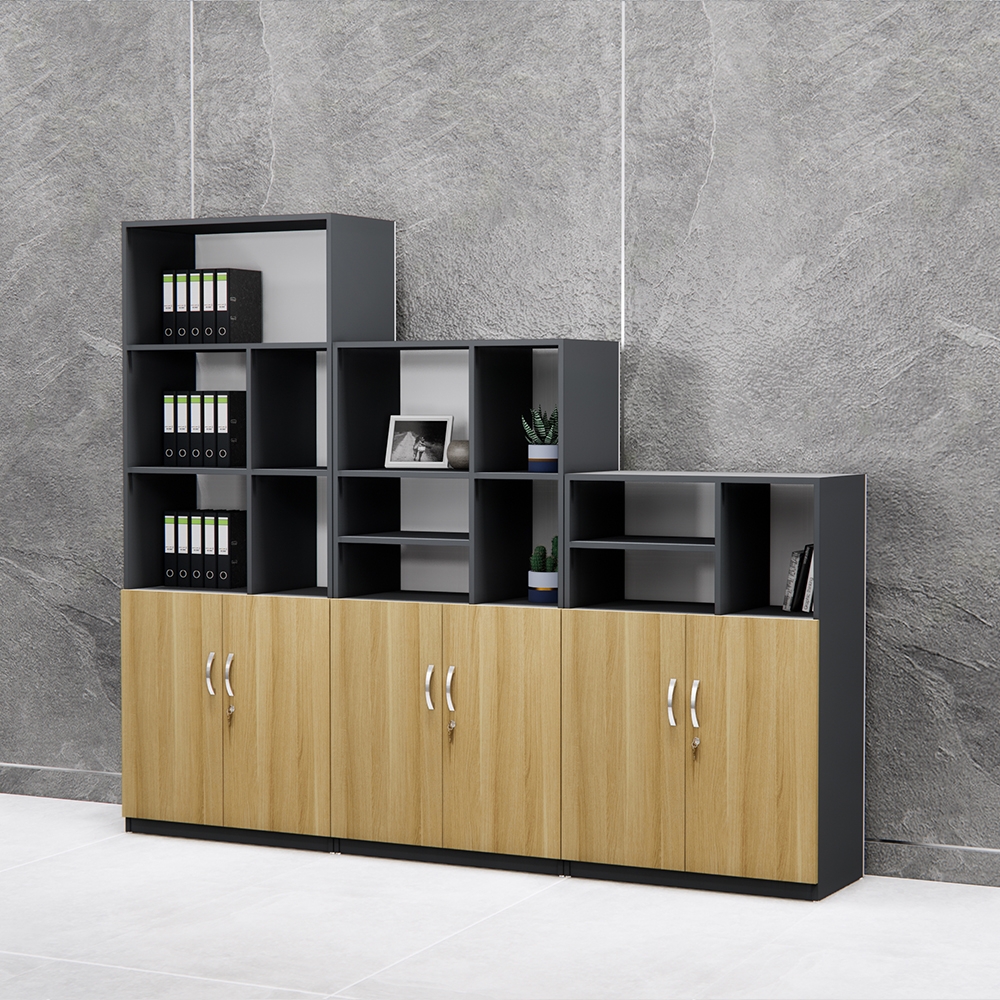 Tủ Hồ Sơ Thấp Cao Cấp BKHOME FGTHST08