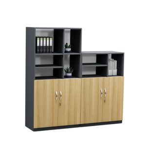 Tủ Hồ Sơ Thấp Cao Cấp BKHOME FGTHST09