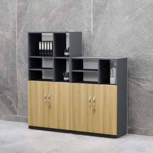 Tủ Hồ Sơ Thấp Cao Cấp BKHOME FGTHST09