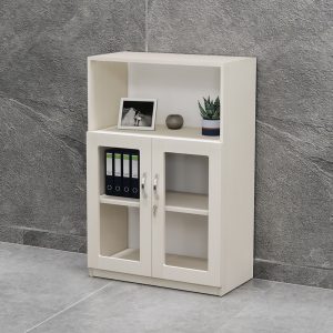 Tủ Hồ Sơ Thấp Cao Cấp BKHOME FGTHST11