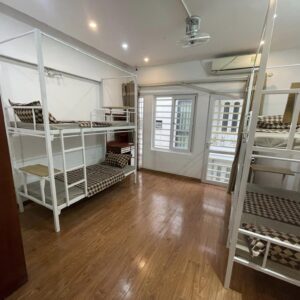 334998134 1277311092858859 5221859058678521303 n.jpg